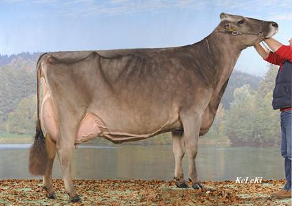 Schmibach's Collection CORELLA (COLLECTION x STARBUCK) à Schmid Benedikt, Schüpheim, Grande championne Brown Swiss