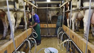 Le secteur agricole devrait perdre 39 000 emplois d’ici à 2030 Le secteur agricole devrait perdre 39 000 emplois d’ici à 2030