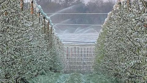 Record de froid en France pour un mois d’avril Record de froid en France pour un mois d’avril