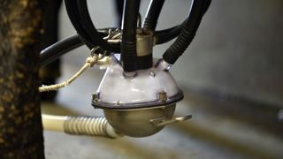 La collecte laitière pourrait reculer de 11 % entre 2021 et 2025 La collecte laitière pourrait reculer de 11 % entre 2021 et 2025