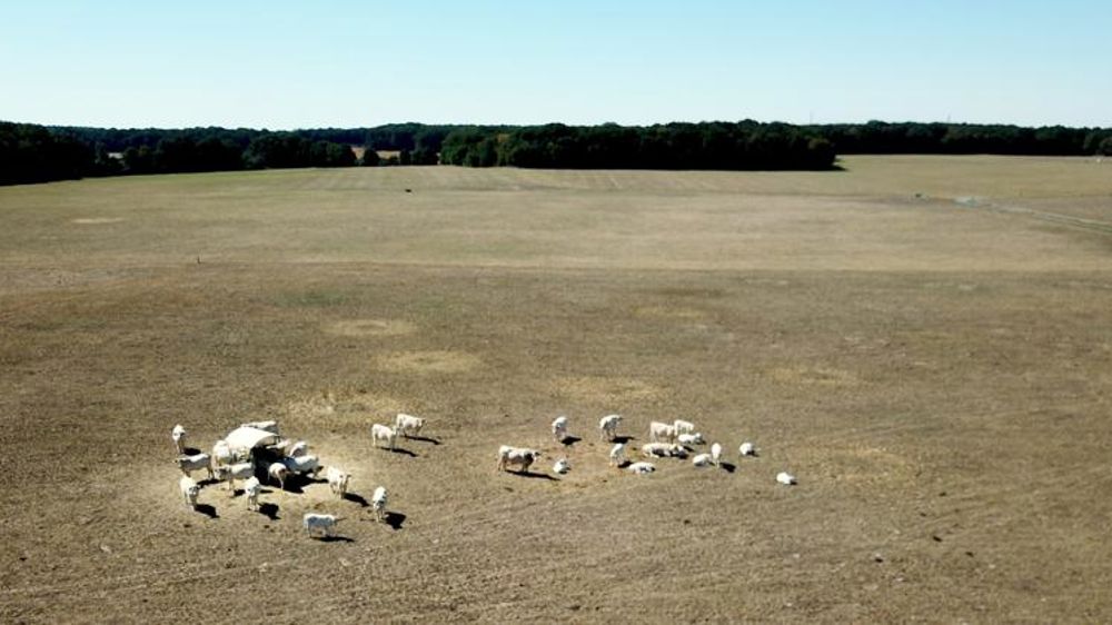 « Inciter la moitié des exploitants à s’assurer d’ici à 2030 »