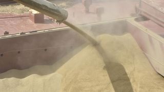 Les exportations de céréales françaises revues à la hausse Les exportations de céréales françaises revues à la hausse