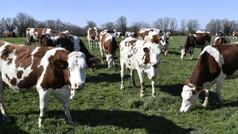 Le prix de base du lait de vache à 382 €/1 000 litres en février Le prix de base du lait de vache à 382 €/1 000 litres en février