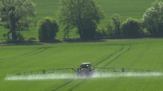 Les effets des phytosanitaires sur la biodiversité sont avérés Les effets des phytosanitaires sur la biodiversité sont avérés