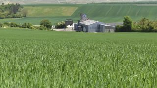 Les prix des céréales nouvelle campagne s’envolent Les prix des céréales nouvelle campagne s’envolent