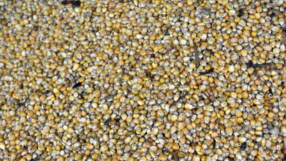 Constanta, le port de sortie pour les céréales ukrainiennes