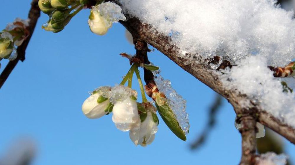 Nouvelle enveloppe de prise en charge des cotisations sociales