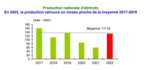 Après une production historiquement basse en 2021, la production estimée d’abricots pour la campagne de 2022 retrouverait un niveau moyen. © Agreste