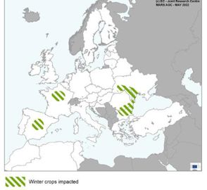 Au 23 mai 2022, la Commission européenne a établi une carte des zones où les cultures d’hiver sont impactées par le manque d’eau. © Commission européenne