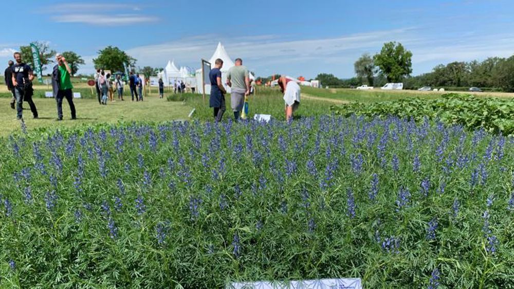 Un Salon de l’herbe sous le signe de l’autonomie protéique