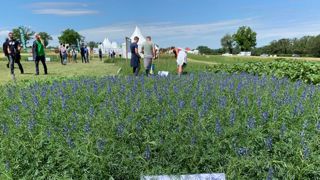 Un Salon de l’herbe sous le signe de l’autonomie protéique Un Salon de l’herbe sous le signe de l’autonomie protéique