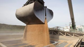 Des négociations visent à libérer les céréales de la mer Noire Des négociations visent à libérer les céréales de la mer Noire