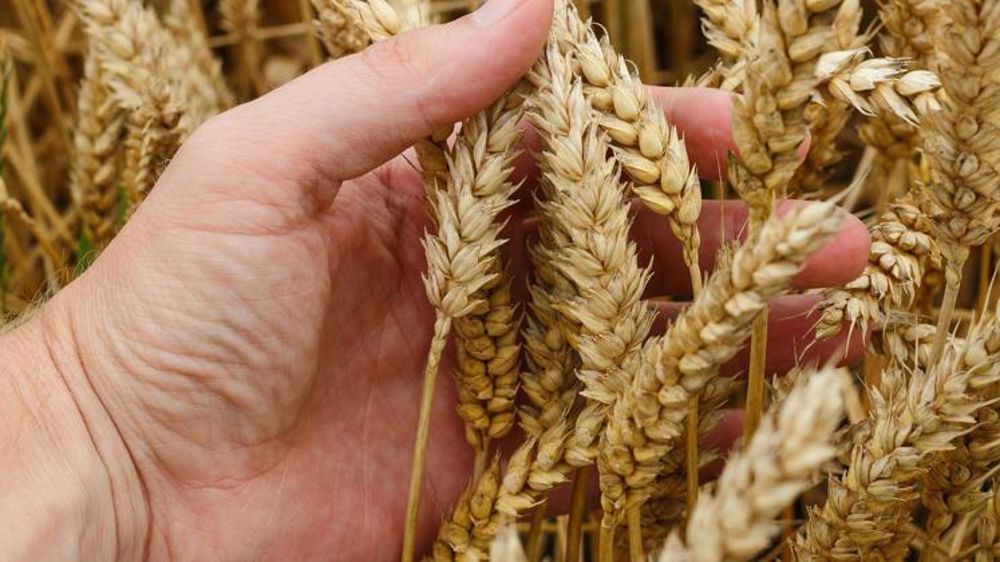 Moscou minimise l’importance des céréales ukrainiennes