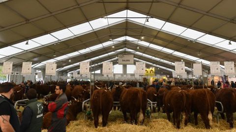 Faire du Sommet de l’élevage « le salon de la durabilité » Faire du Sommet de l’élevage « le salon de la durabilité »