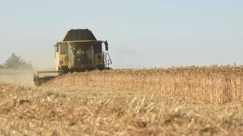 La FAO prévoit une baisse des échanges de céréales La FAO prévoit une baisse des échanges de céréales