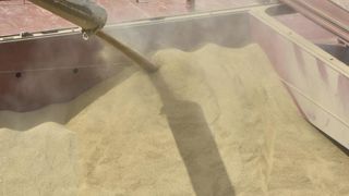40 millions de personnes supplémentaires en insécurité alimentaire 40 millions de personnes supplémentaires en insécurité alimentaire