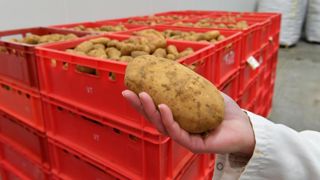 Des prêts spécifiques pour les producteurs engagés avec McCain Des prêts spécifiques pour les producteurs engagés avec McCain