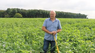 Des pommes de terre en agriculture de régénération Des pommes de terre en agriculture de régénération