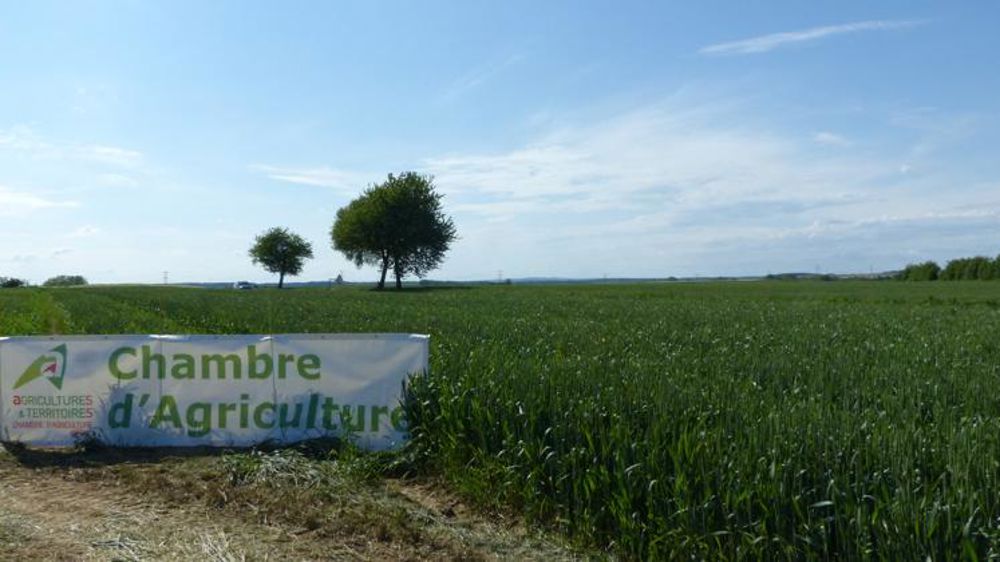 Les chambres d’agriculture recrutent 150 jeunes en service civique