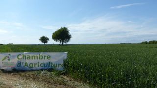 Les chambres d’agriculture recrutent 150 jeunes en service civique Les chambres d’agriculture recrutent 150 jeunes en service civique