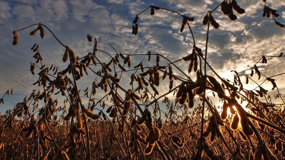 Le Brésil fustige le « protectionnisme » de Macron sur le soja