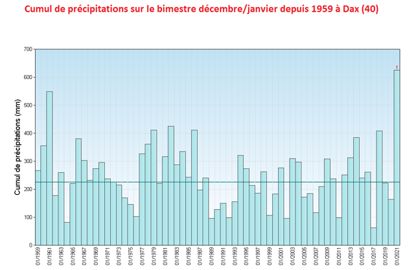 Cumul de précipitations à Dax (40) pour décembre-janvier depuis 1959. © Météo-France