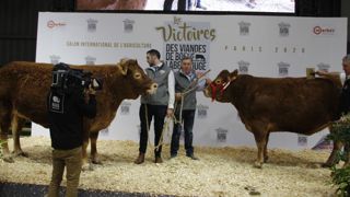 La viande limousine label rouge séduit le consommateur La viande limousine label rouge séduit le consommateur