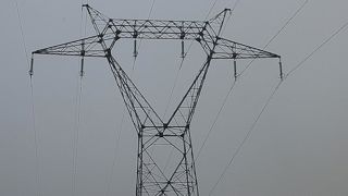 Le combat des éleveurs contre les ondes électromagnétiques Le combat des éleveurs contre les ondes électromagnétiques