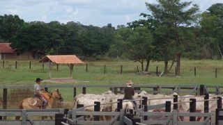 450 ONG unies contre l’accord avec le Mercosur 450 ONG unies contre l’accord avec le Mercosur