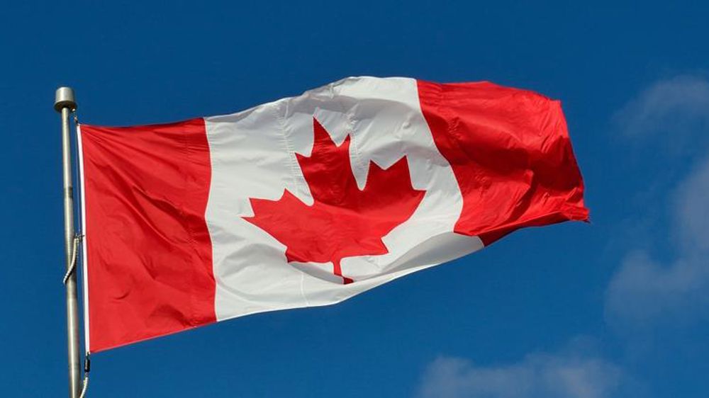 Le Canada renonce à interdire deux néonicotinoïdes