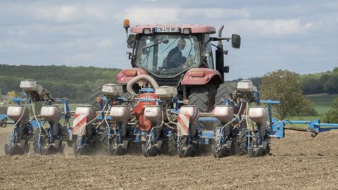 Semis de maïs et betteraves en préparation Semis de maïs et betteraves en préparation