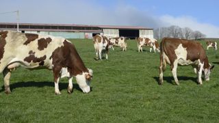 Peu de pluies et des températures contrastées en mars 2021 Peu de pluies et des températures contrastées en mars 2021