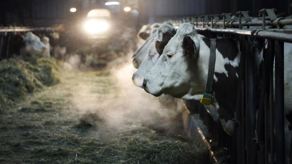 Le repli de la collecte laitière s’accentue en février