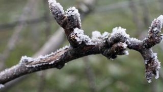 Les gelées s’estompent progressivement Les gelées s’estompent progressivement