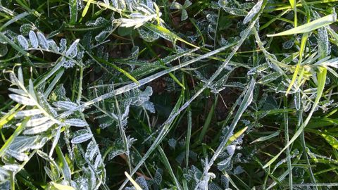 Le gel pourrait faire son retour cette semaine