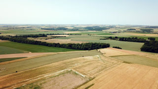 65 900 hectares de terres agricoles disparaissent tous les ans 65 900 hectares de terres agricoles disparaissent tous les ans