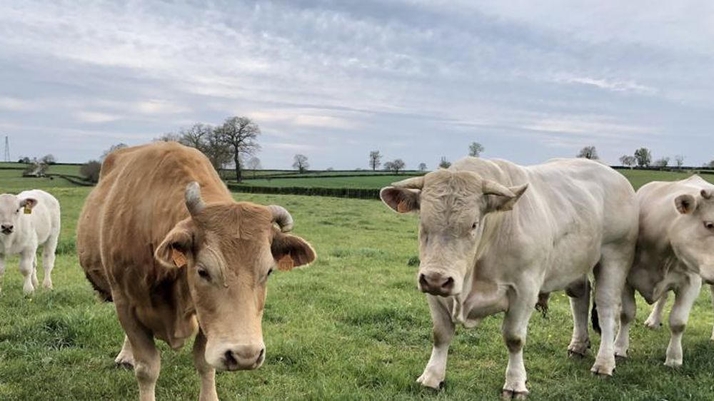La pluie revient timidement par le sud