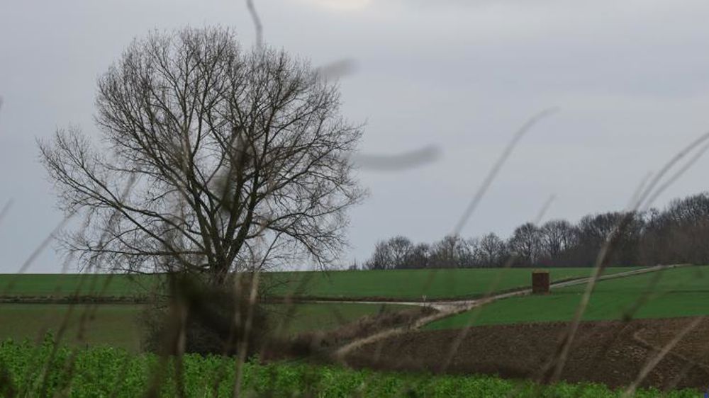 La pluie fait enfin son retour