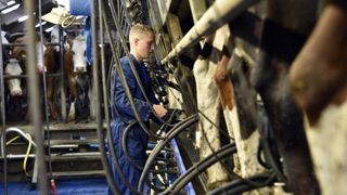328 €/1 000 litres pour le lait de vache en février 2021 328 €/1 000 litres pour le lait de vache en février 2021