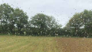 Une semaine sous la pluie et dans le froid Une semaine sous la pluie et dans le froid
