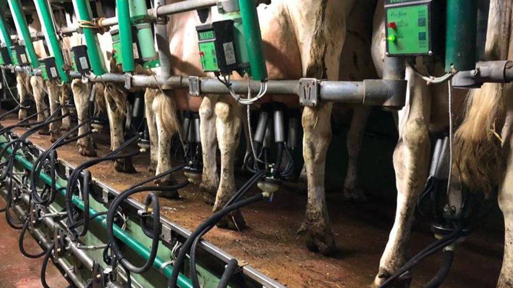 Le recul de la collecte laitière française se poursuit