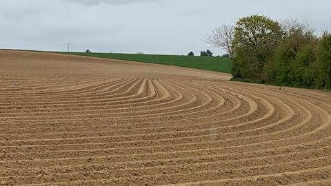 Les producteurs interpellent les féculiers Les producteurs interpellent les féculiers