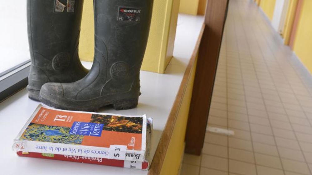 Vers plus d’agriculture dans l’Éducation nationale