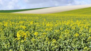 Le printemps fait son grand retour ! Le printemps fait son grand retour !