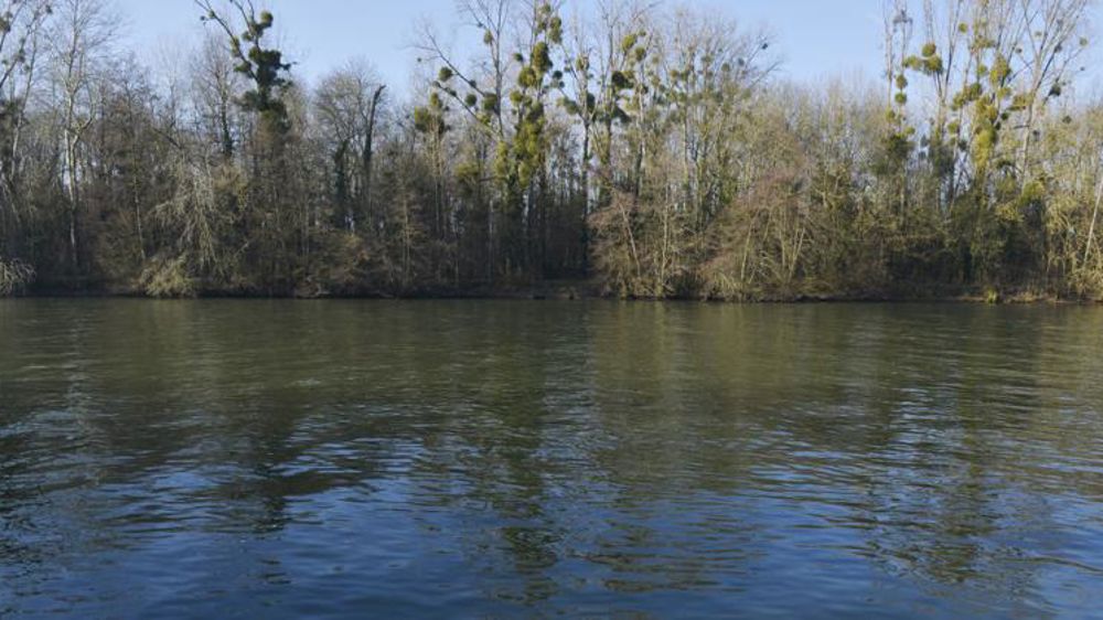 Un récipient d’insecticide responsable d’une pollution de la Seine