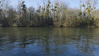 Un récipient d’insecticide responsable d’une pollution de la Seine Un récipient d’insecticide responsable d’une pollution de la Seine