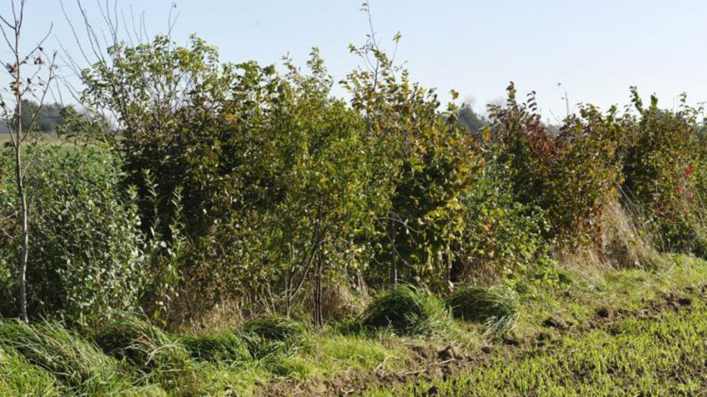 La stratégie biodiversité est jugée « déconnectée du terrain »