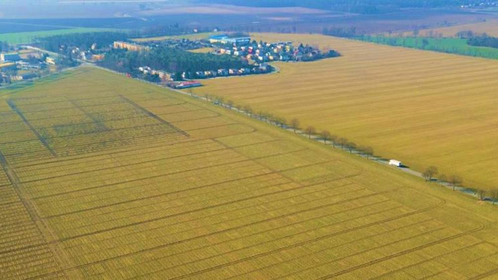 Un prêt de 44 millions d’euros pour les semences d’Euralis