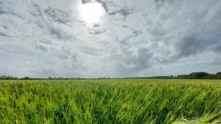 Après les orages, le soleil fait son retour Après les orages, le soleil fait son retour