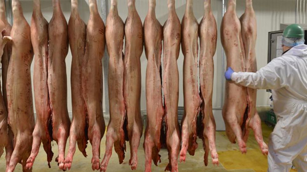 Un creux saisonnier « marqué » pour les abattages de porcs